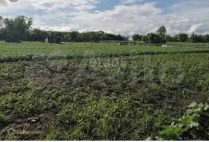 Участок 20 сот. (ИЖС)