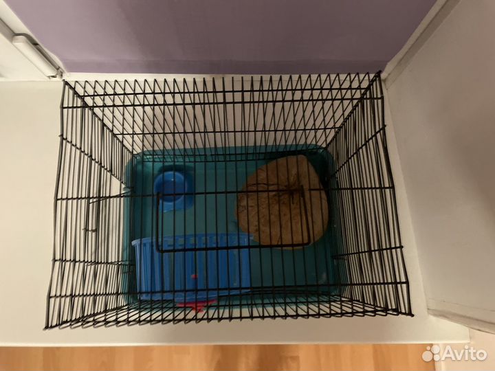 Клетка переноска для хомяка