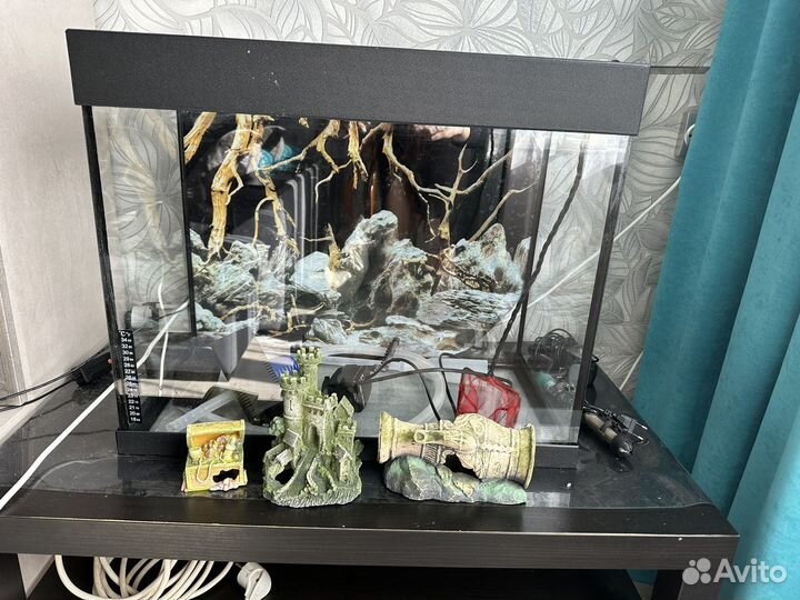 Аквариум