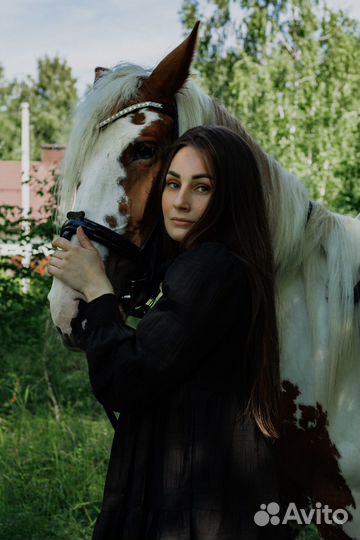 Фотопроект с лошадью