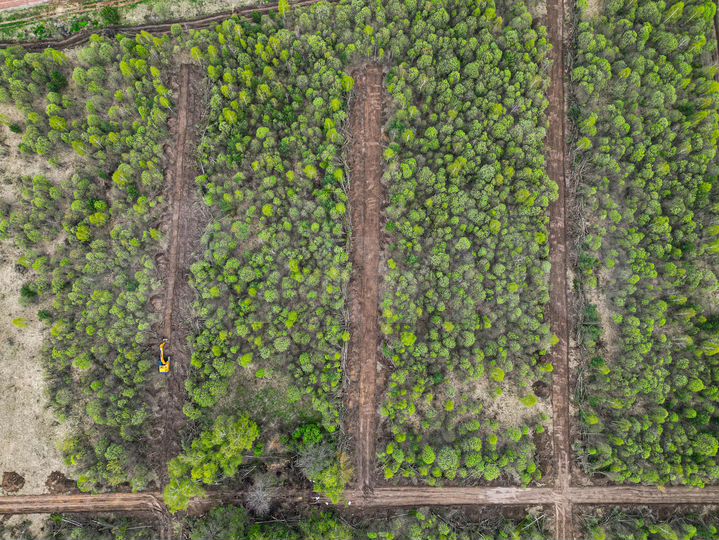 Участок 5 га (СНТ, ДНП)