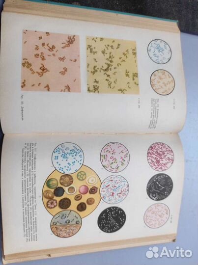 Пяткин К. Д. Микробиология с вирусологией и иммуно