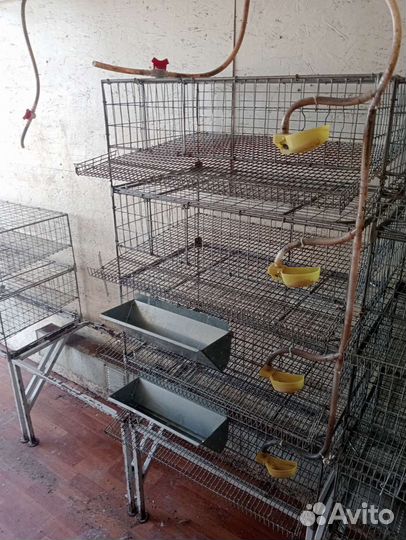 Клетки для перепелов бу