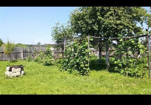 Дом 45,5 м² на участке 35 сот.