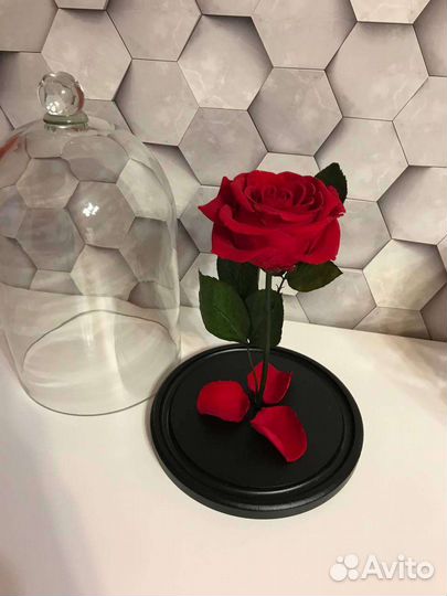 Роза в колбе