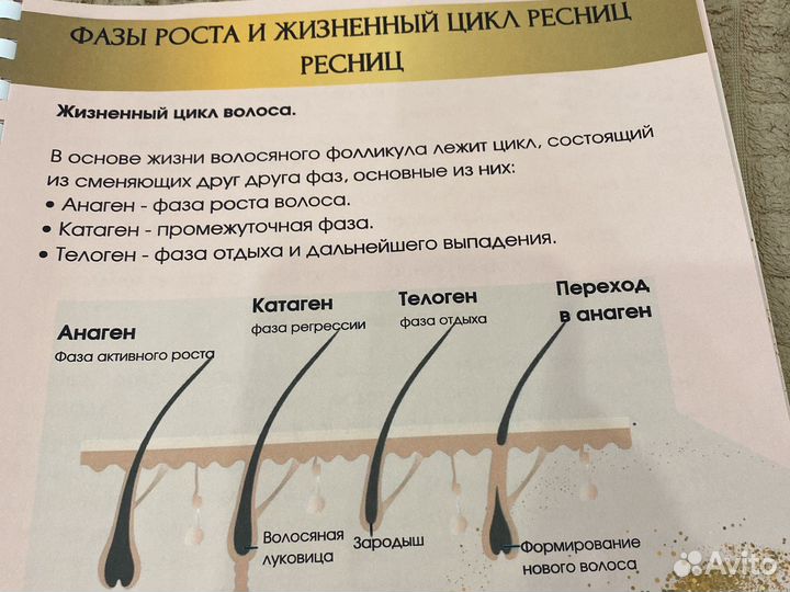 Методички, пособие ламинирование ресниц