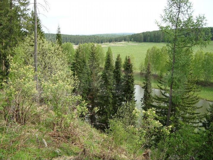 Участок 72,2 га (СНТ, ДНП)