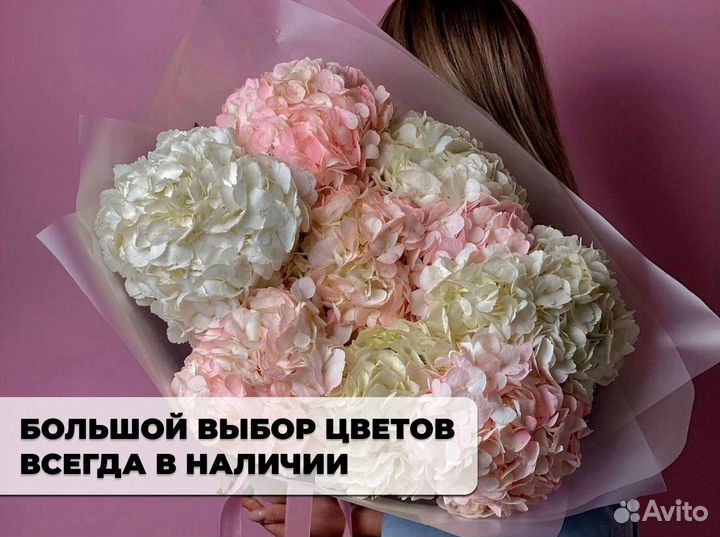 Гортензии с доставкой по Краснодару