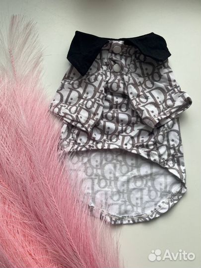 Брендовая одежда для собак Dior