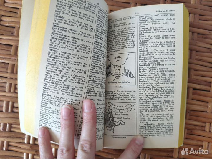 Медицинский словарь и справочник на английском