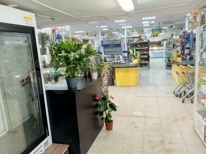 Торговая площадь, 150 м²