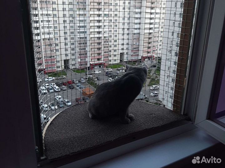 Балкон для кошки