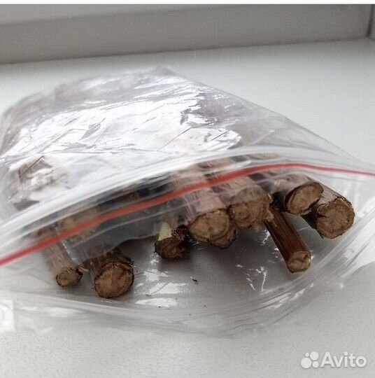 Веточки малины лакомство для грызунов