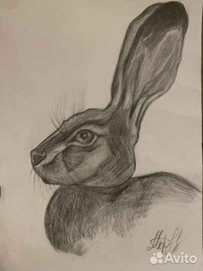Портрет зайца
