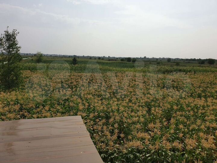 Участок 5 га (СНТ, ДНП)