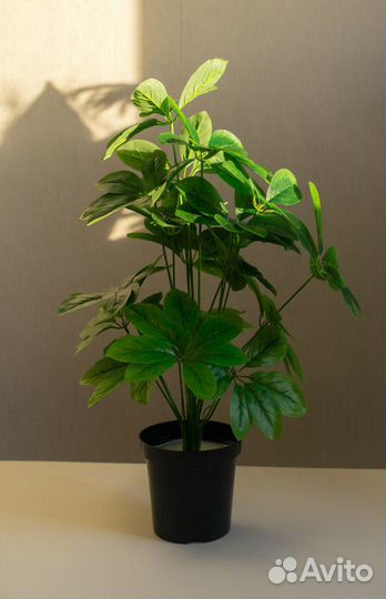 Искусственное дерево, растение, Стрелиция, Шефлера