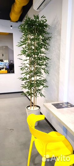 Искусственный Бамбук