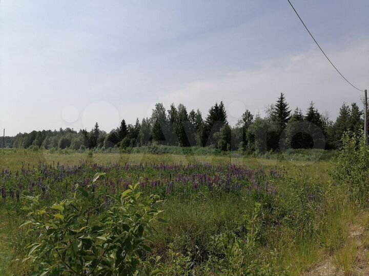 Участок 12 сот. (СНТ, ДНП)