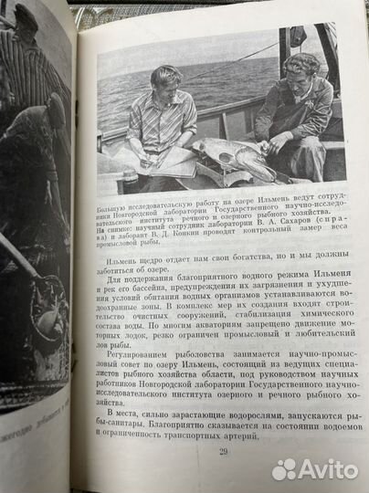 Озеро Ильмень. Жекулин В. С., Нехайчик В. П