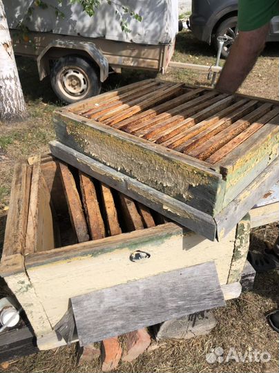 Ульи для пчел