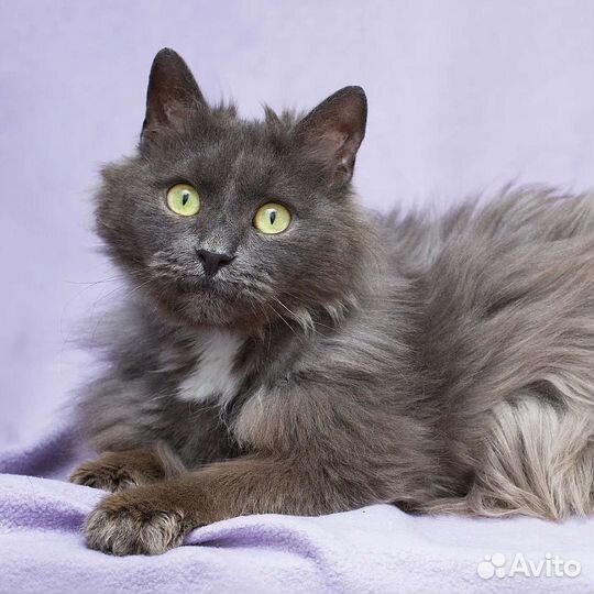 Эби никто не замечает