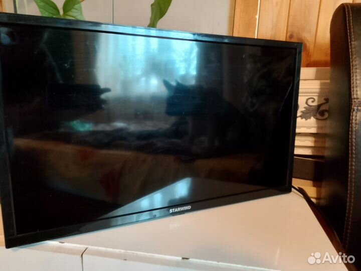 Телевизор starwind