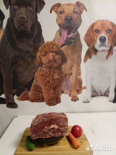 Мясо для собак (рубец,фарш,обрезь,корень,калтык