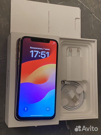 iPhone X, 256 ГБ