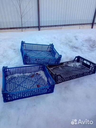 Пластиковые ящики бу