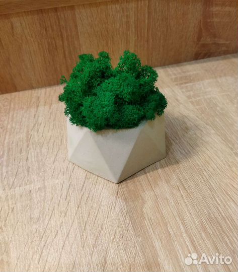 Кашпо из гипса со стабилизированным мхом