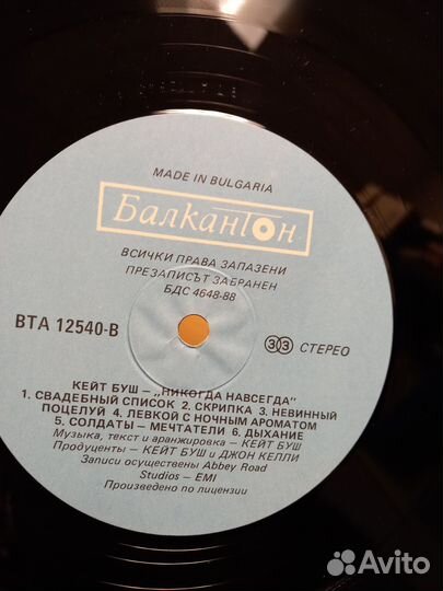 Didier Marouani, Kate Bush, Соломон Берк