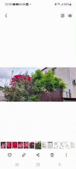 Дом 197 м² на участке 9 сот.