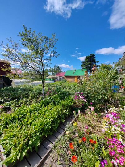 Дача 56 м² на участке 4,9 сот.