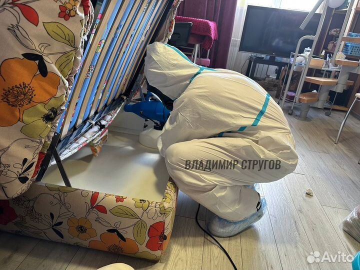 Уничтожение клопов, травить тараканов /Дезинфекция