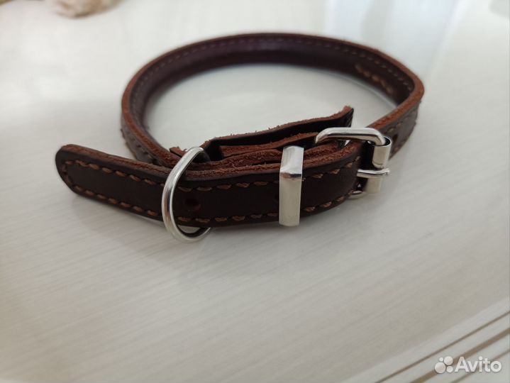 Ошейник для собак