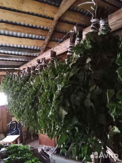 Веники для бани оптом душица