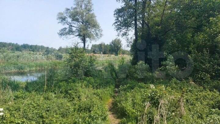 Участок 14,8 сот. (ИЖС)