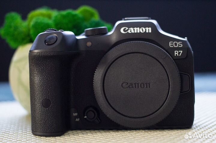 Беззеркальная камера Canon EOS R7 Body черная