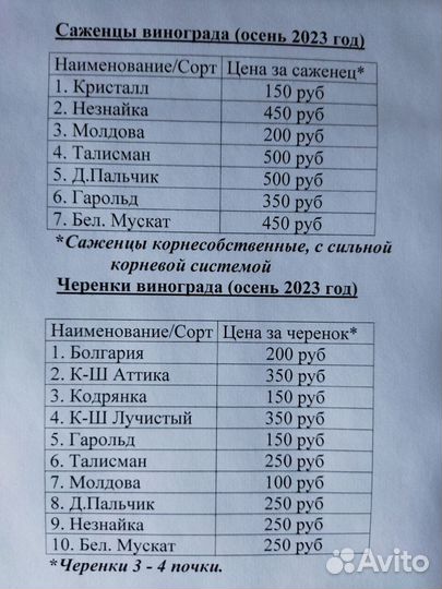 Саженцы и черенки винограда