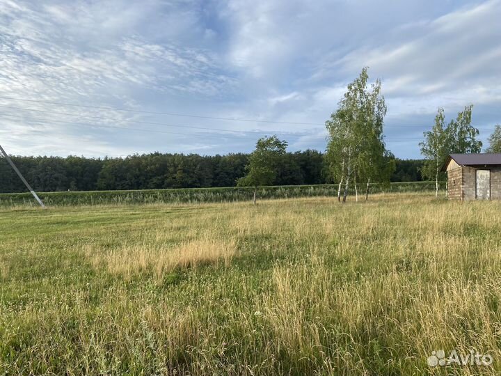 Земельный участок и здание под торговый комплекс