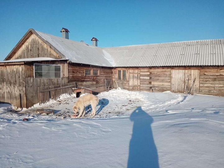 Участок 15 сот. (ИЖС)