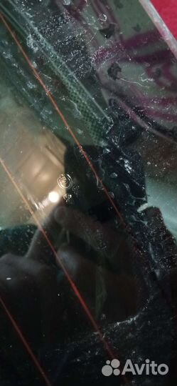 Стекло багажника KIA ceed FL (хэтч)