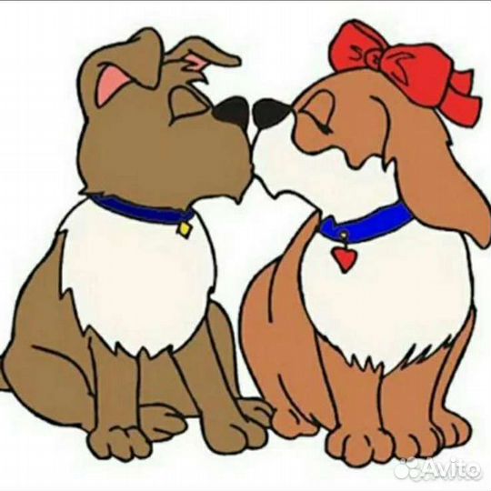 Вязка собак