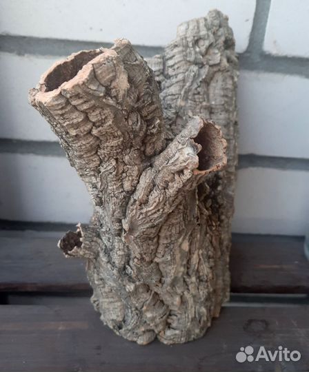 Кора пробкового дуба