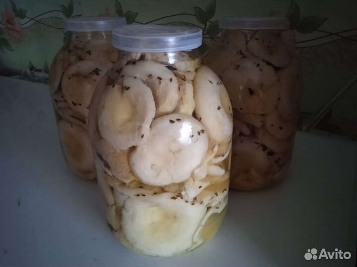 Грибы соленые