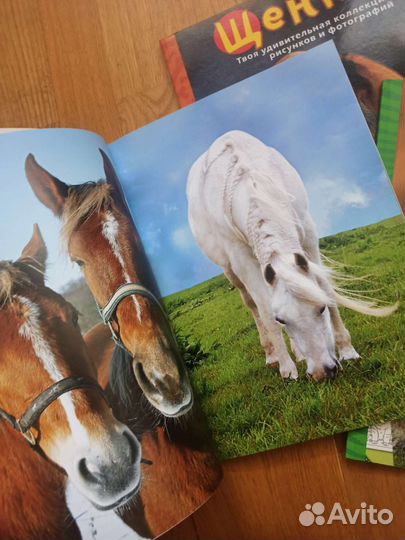 Серия книжек-раскрасок 