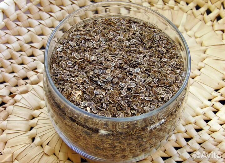 Семена укропа