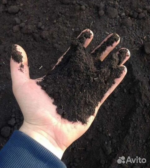 Перегной Земля плодородная