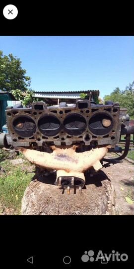 Голова 2110 взборе