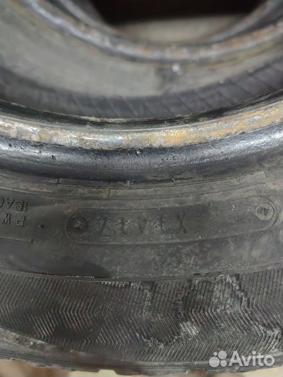 Dunlop Winter Maxx 175/65 R14 82T